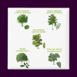 5 Trees