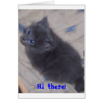 5 week old gray kitten 3-23-06, Hi there! cards