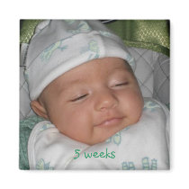 5 weeks, 5 weeks magnets