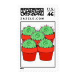5cactus postal postage