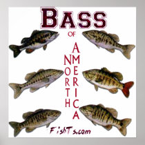 5Ft.Bass of N.America Poster posters