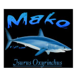 5Ft. Mako Poster