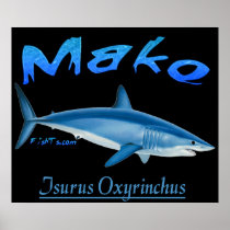 5Ft. Mako Poster posters