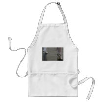 5th Position Aprons