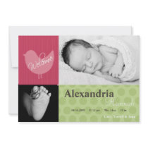 5x7 Baby Girl Pink Bird Photo Birth Announcement