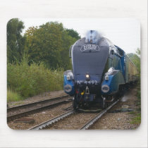 60019 Bittern (as 4492 Dominion of New Zealand) Mouse Pad
