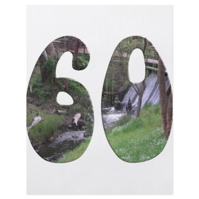 60th Birthday Flyers by 60th_birthday_gifts