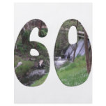 60th Birthday Flyers