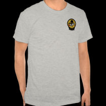 613th TFS t-shirts