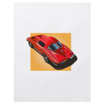 63 Split Window Redon Yellow flyers