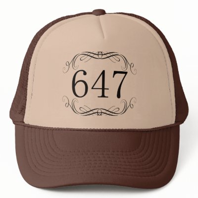 647 Area Code Mesh Hat by