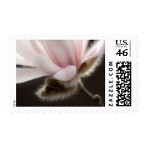64 Cent Magnolia Wedding Invitation Postage