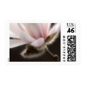 64 Cent Magnolia Wedding Invitation Postage postage