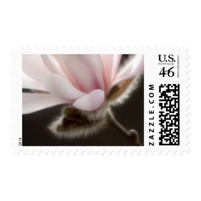 64 Cent Magnolia Wedding Invitation Postage