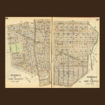 6667 Scarsdale, East Chester posters