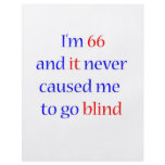 66 never gone blind flyers