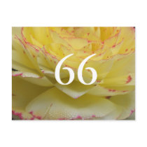 66th Birthday Floral Heart Postcard