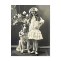67 Animals postcards
