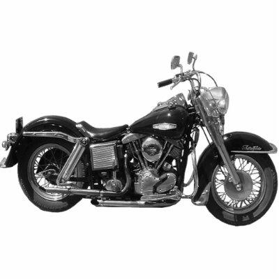 69 Shovelhead Photo Sculptures by wksimages