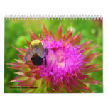 6-15-08 (8), PHOTOS BY: CONTINA WILLIAMS CALENDAR