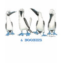 6 Boobies- 4 with blue feet T Shirt