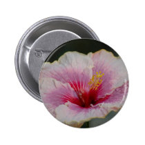 6 buttons