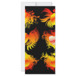 6-fire-flames-banners rack cards