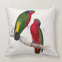 #6-Kuhl's parrakeet Pillows