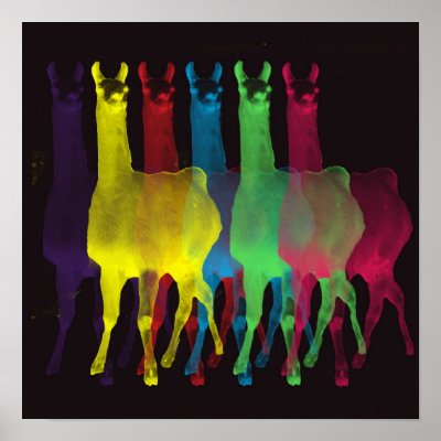 6 llamas 6 colors canvas with black background posters by boopboopadup