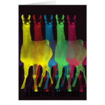 6 llamas, 6 colors cards by boopboopadup 6 llamas, 6 colors cards