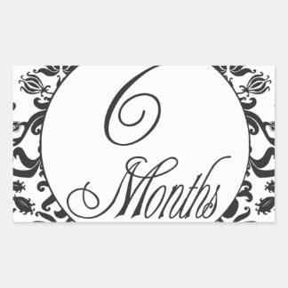 6 Months Stickers | Zazzle