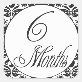 6 Months Stickers | Zazzle