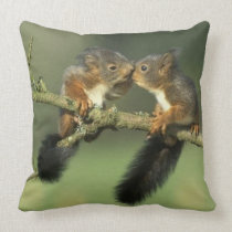 #6-squirrels-up close pillow