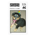 6 Weeks Portrait postage