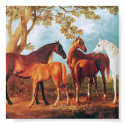 6a   Mares and Foals posters