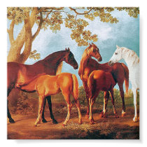 6a   Mares and Foals posters