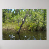 6ft Marsh Tree Poster posters