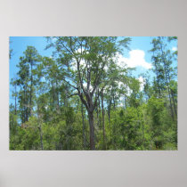6ft. Mississippi River Marsh Tree posters
