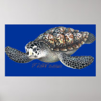 6Ft. SeaTurtle Poster by FishTs.com posters
