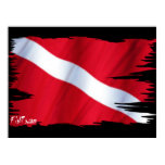 6ft. Tattered DiveFlag Poster