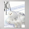 6ofwands - Customized posters