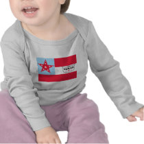 6th Texas Cavalry Flag t-shirts