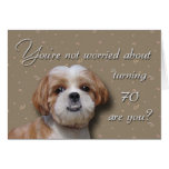 70th Birthday Dog Greeting Cards