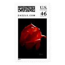 7197_red_rose_on_blk 1 postage by lizacatron 7197_red_rose_on_blk 1 postage