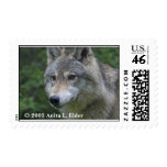 723464625203, © 2005 Anita L. Elder Postage Stamps