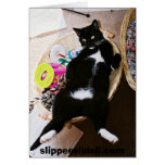 728156-R1-014-5A, slippeeslidell.com Greeting Cards