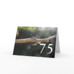 75th Birthday