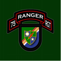 75th Ranger Rgt - scroll & flash Photo Cutouts