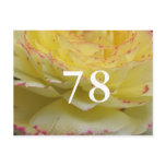 78th Birthday Postcards