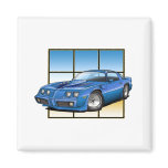 79-81 Trans Am Magnets
